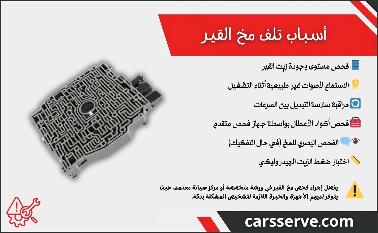 أسباب تلف مخ القير